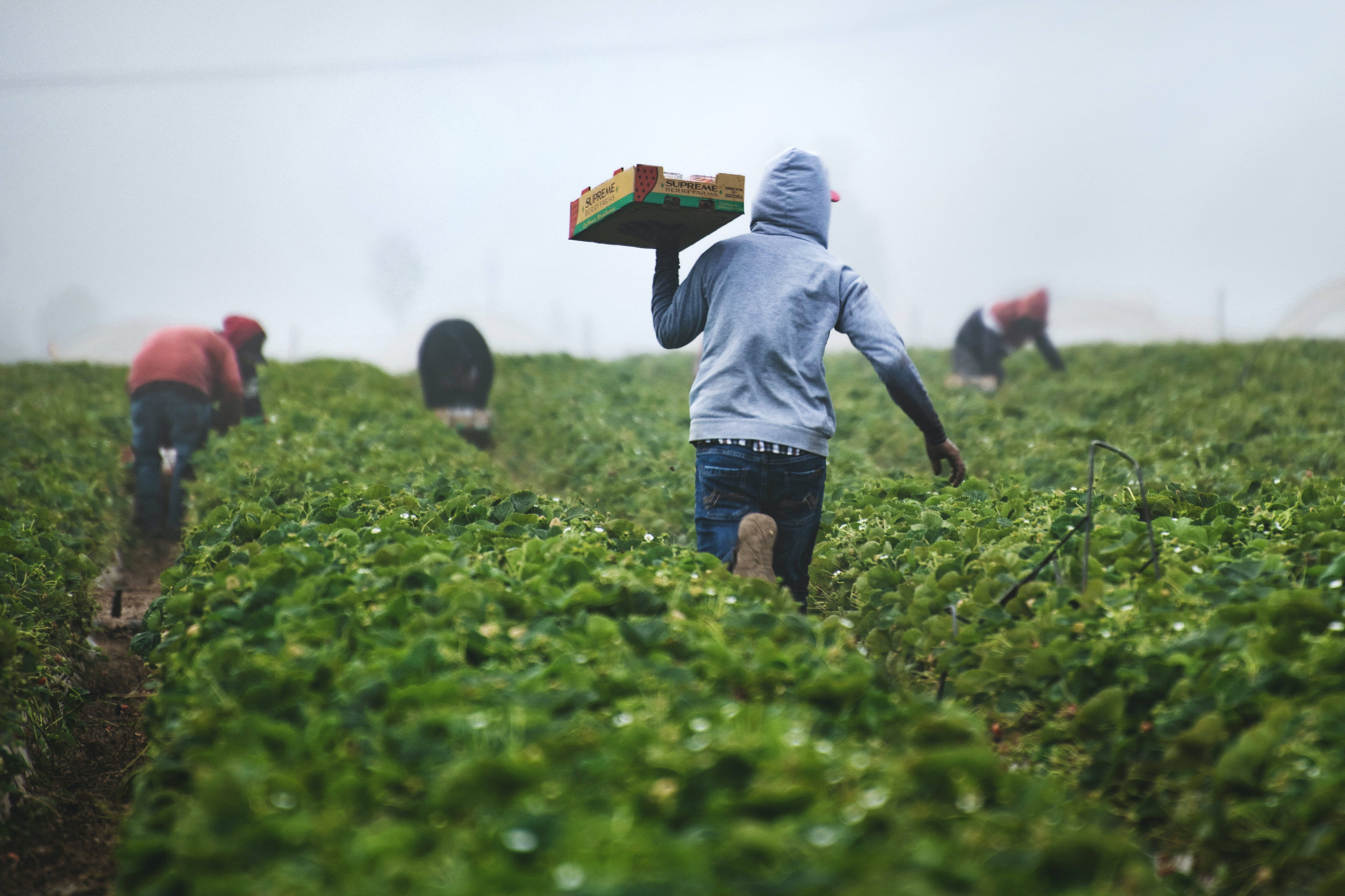 USDA Announces Financial Assistance for Distressed Farm Loan Borrowers: Supporting Innovation in Agriculture