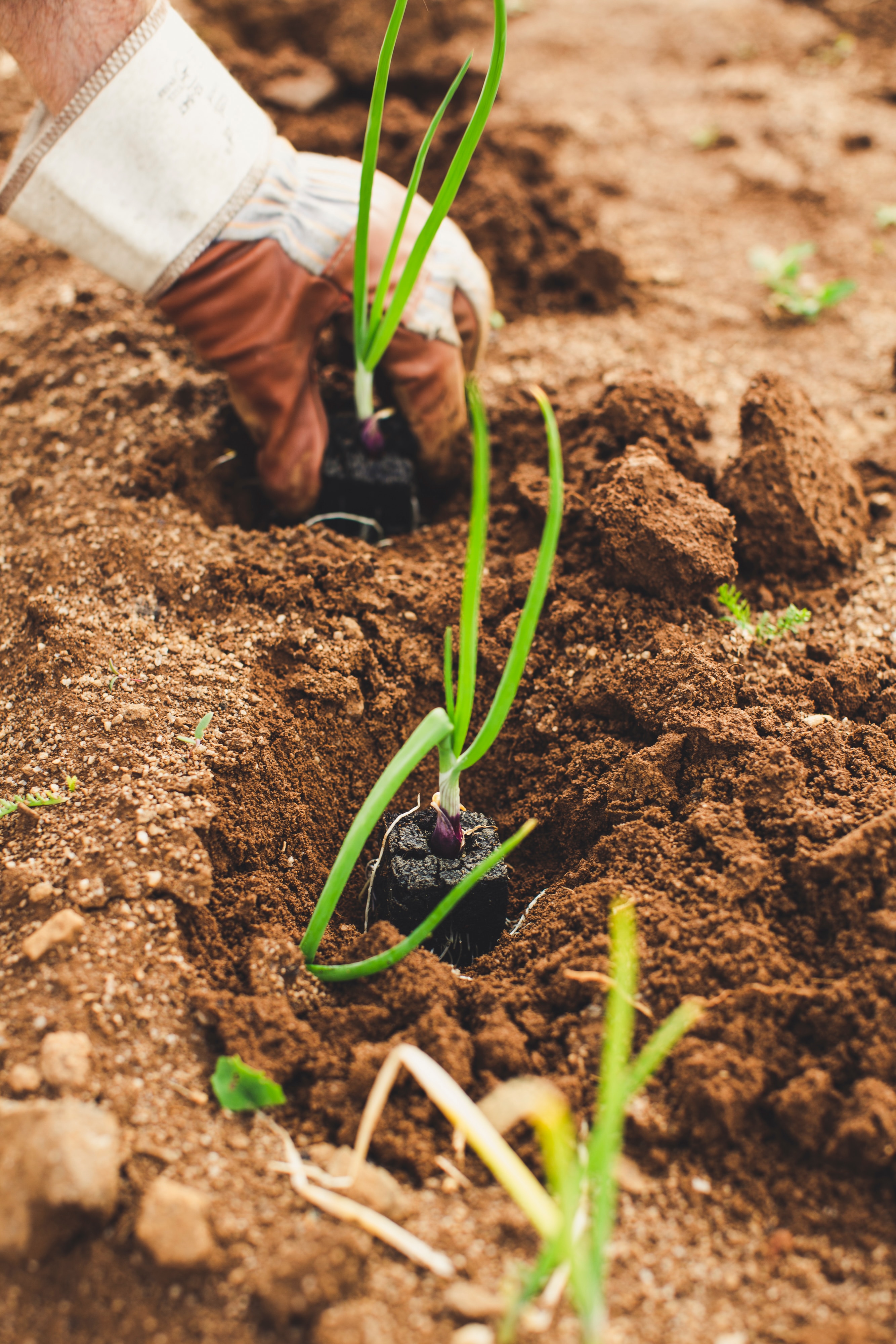 Record Demand: USDA Receives Funding Surge for Clean Energy in Rural America